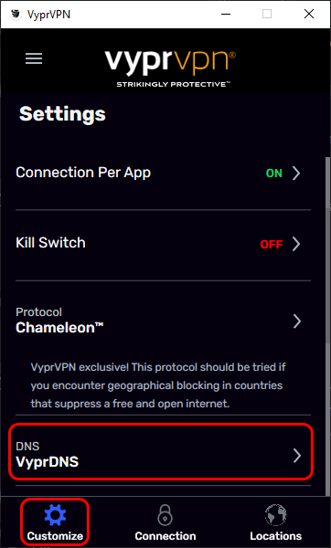 Customize Menu - Scrolled Down Partially - Chameleon Protocol - Customize and DNS Highlighted.png