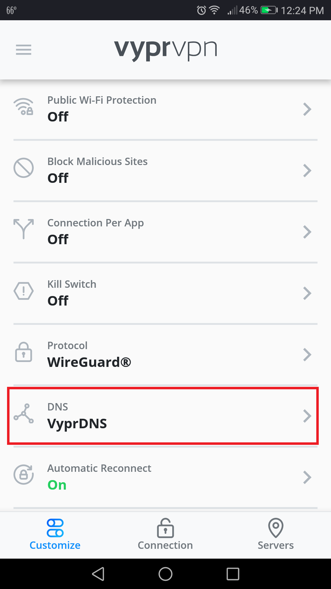 Vypr_App_-_Customize_Menu_-_DNS_Selected.png