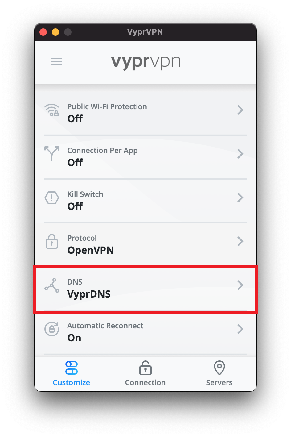 Vypr_App_-_Customize_Menu_-_DNS_Selected.png